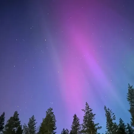 Villa Blueberry Hill With Car *