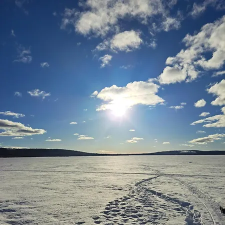 Blueberry Hill With Car