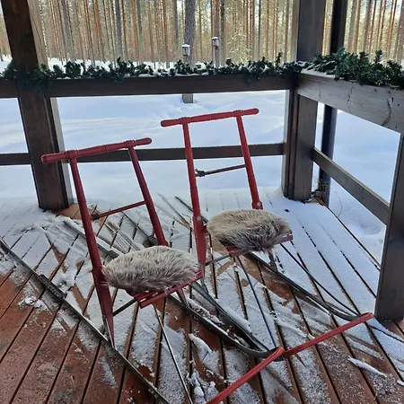 Blueberry Hill With Car * Raanujärvi