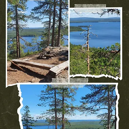 Blueberry Hill With Car Villa Raanujärvi